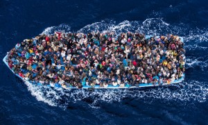 Migration Picture 1