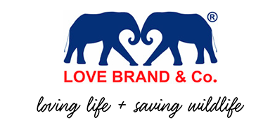 Love Brand: creating companies worth existing