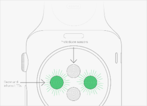 diagrama-apple-watch
