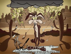 gafe-coyote
