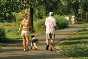 Walking-Dog_edited