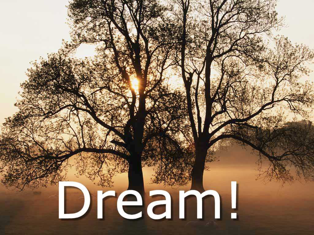 Dream