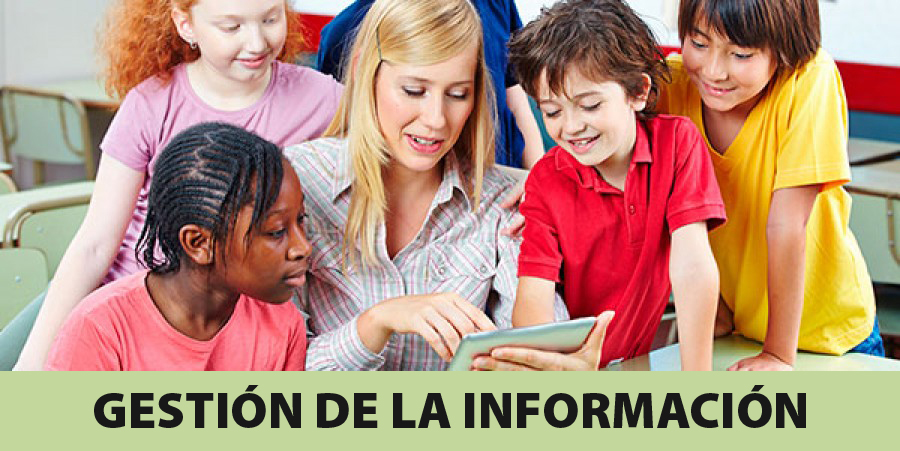 Gestión información