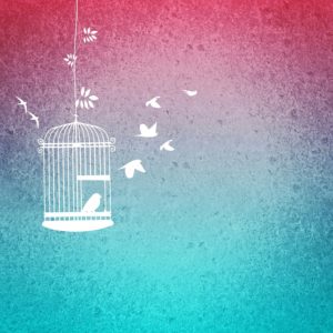 bird-cage-680030_960_720