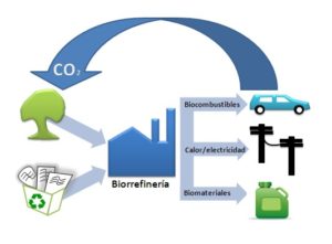 cicesebiorefinerias