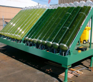 tubos-para-biodiesel-de-algas