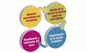 Proceso de Formacion