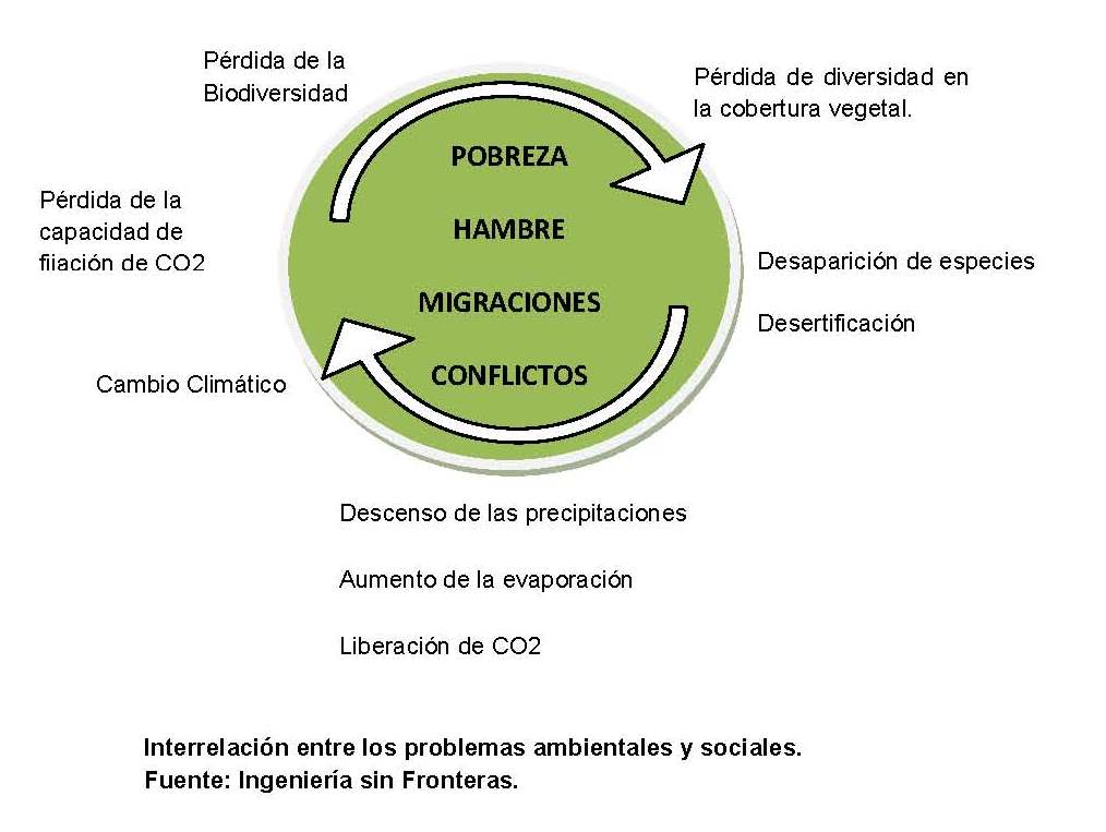 imagen post 2