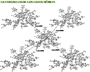 lazos débiles