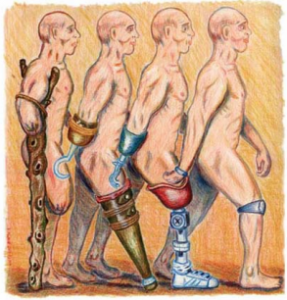 evolucion