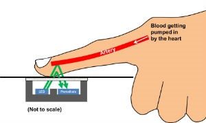 diagrama-dedo